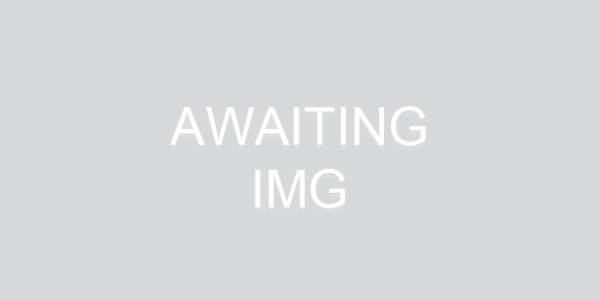 Awaiting Image